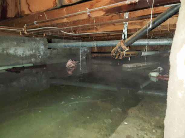 Water damage restoration experts in Foothill Farms, CA