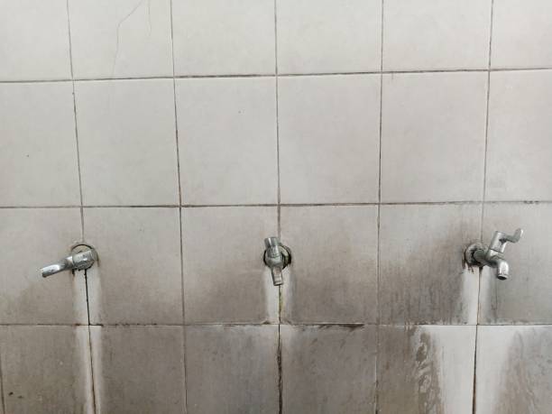 Best Flood restoration services  in Foothill Farms, CA