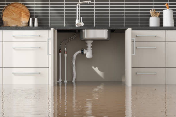 Foothill Farms, CA Water damage restoration Company