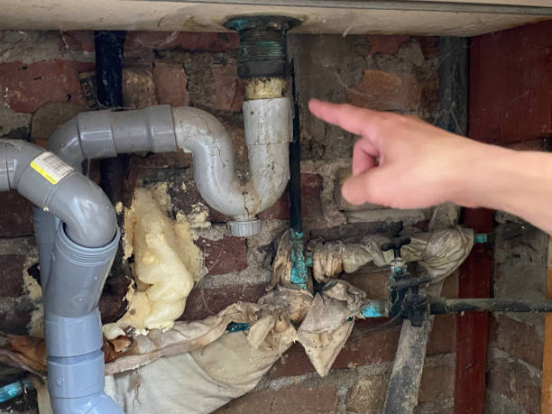 Best Ceiling water damage repair  in Foothill Farms, CA