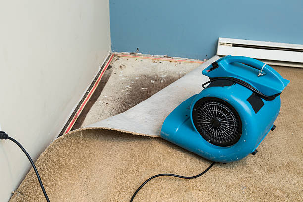 Best Carpet water damage restoration  in Foothill Farms, CA
